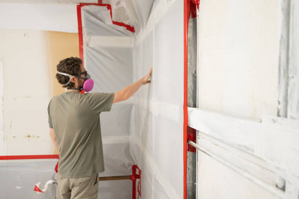 Best Mold Damage Restoration  in Crescent Springs, KY