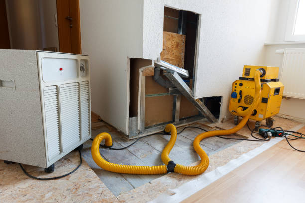 Best Forensic Mold Investigation  in Crescent Springs, KY