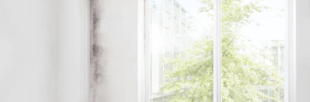 Best Mold Remediation for Healthcare Facilities  in Crescent Springs, KY