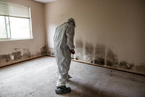 Best Mold Removal for HVAC Installations  in Crescent Springs, KY