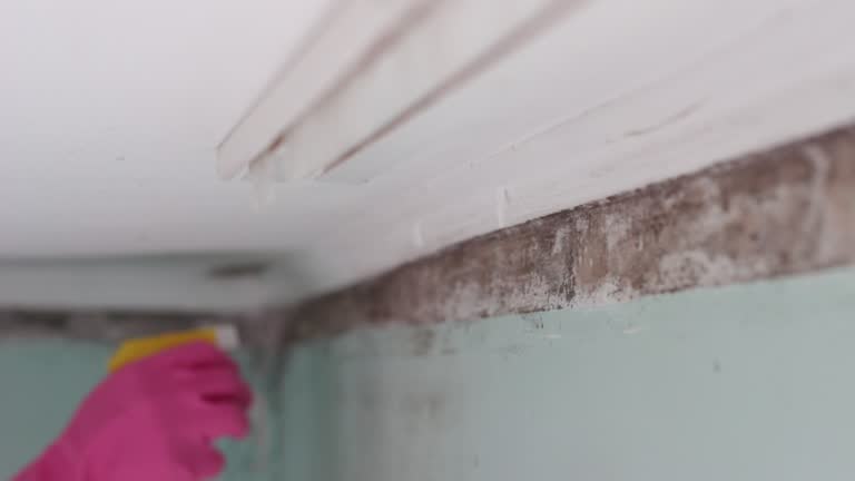Best Air Quality Testing for Mold Spores  in Crescent Springs, KY